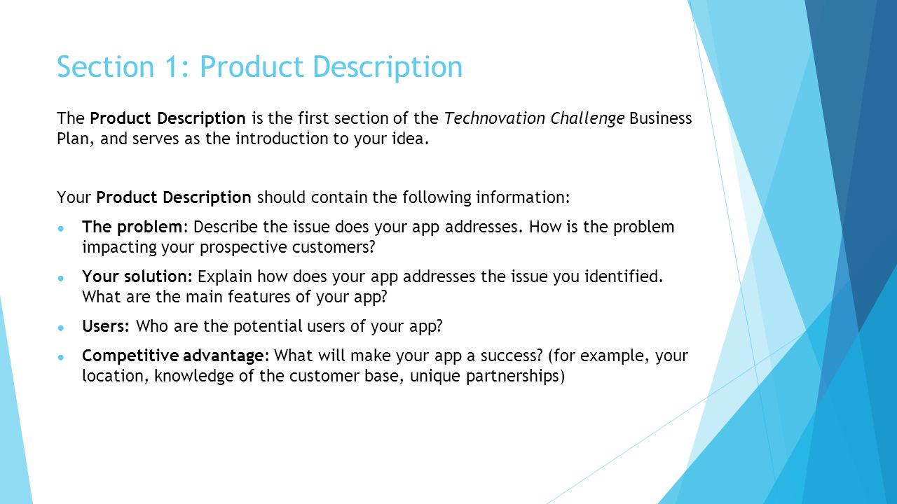 Description of the product in a business plan